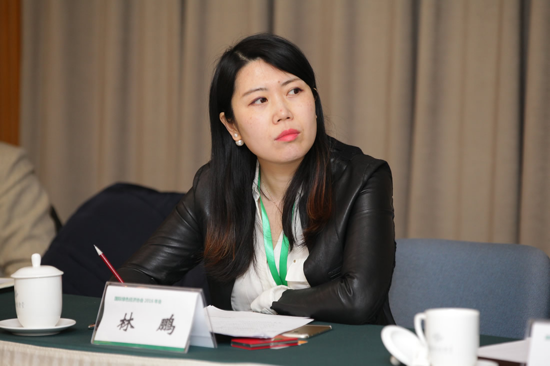 林 鹏 珠海博瑞节能科技有限公司总监